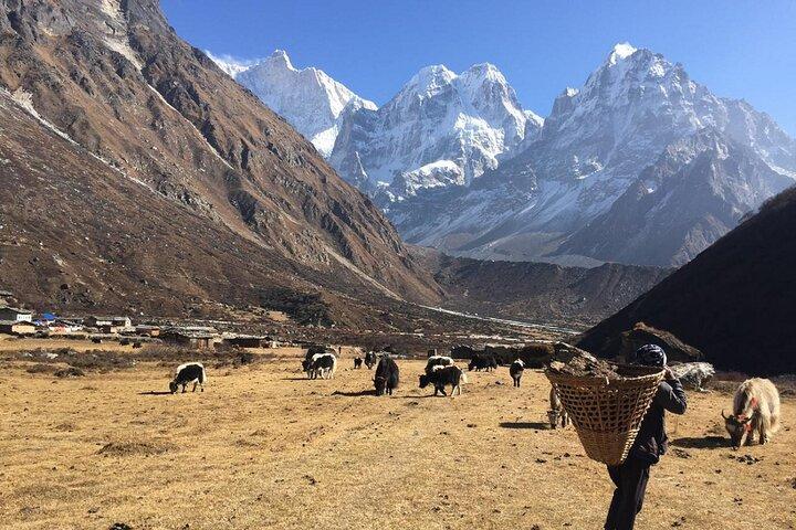 Kangchenjunga Circuit Süd- und Nord-Basislager-Trek