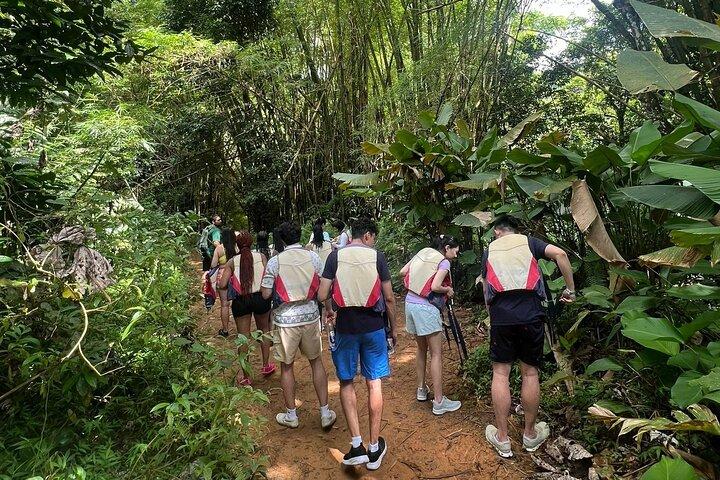 El Yunque Rainforest Hidden Waterpark Tour von San Juan