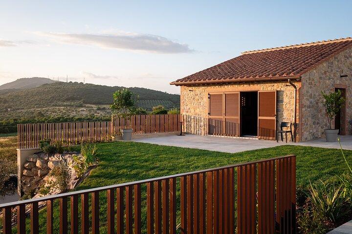 Vingårdstur och vinprovning i Maremma - Grosseto