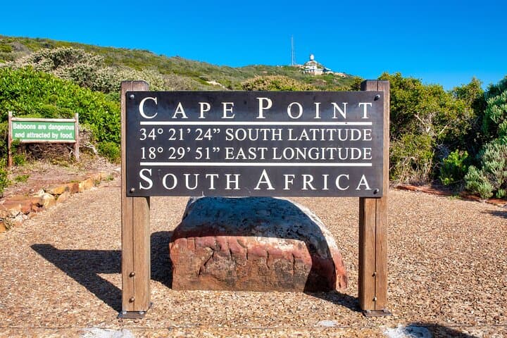Boulders Penguins and Muizenberg beach Half Day shared Tour
