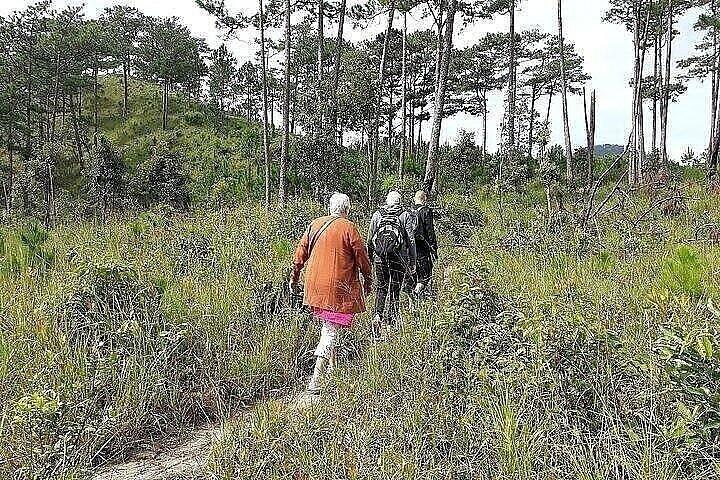 Une excursion d'une journée complète De Nha Trang à Da Lat Ou vice versa