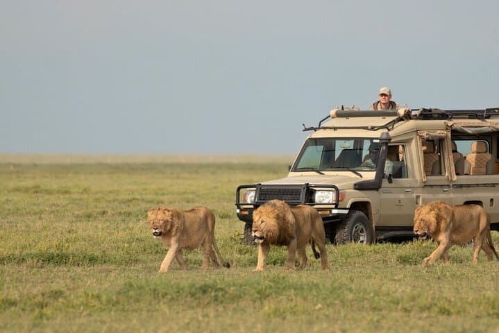 Safari Adventure in Kenya by 4x4 Jeep