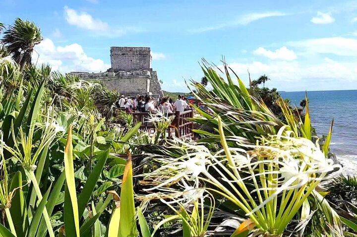 Tulum Express fra Cancun og Riviera Maya