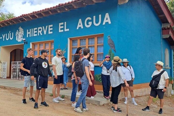 Visite privée d'une journée à Monte Alban et Hierve el Agua