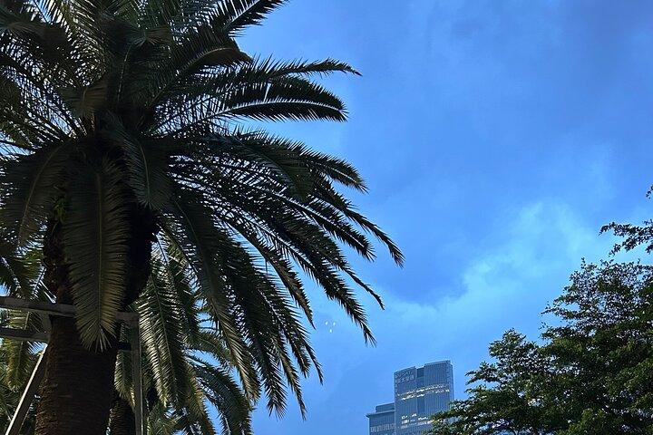 Shenzhen Private Customized Shopping Tour