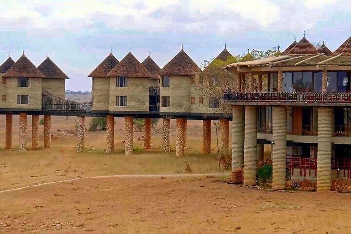 Safari di 5 giorni a Tsavo est, ovest e Saltlick Lodge da Mombasa