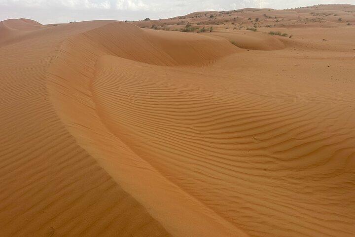 地元ガイドと一緒に4WDで行くプライベートサファリツアーとワディ
