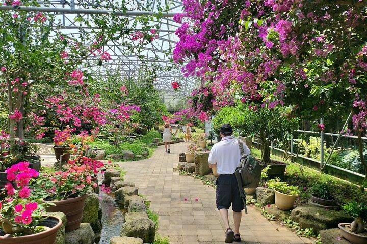Privat halvdagstur Lava-rør (Hanrim park) på øen Jeju