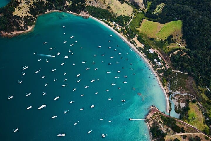Auckland: Tikapa Moana Dolphin, Whale and Island Cruise