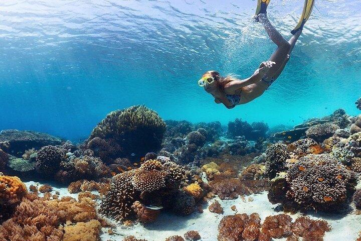 Schnorcheln am Manta Point und Tagestour zur Insel West Nusa Penida