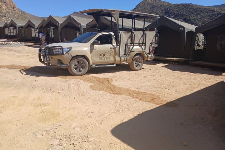 Full Day Big Five Safari Tour from Cape Town with Transfers