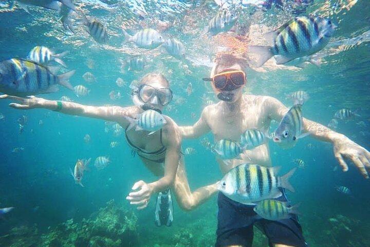 Mergulho com snorkel e compras em Montego Bay com embarque no hotel