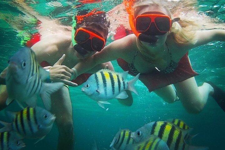 Mergulho com snorkel e compras em Montego Bay com embarque no hotel