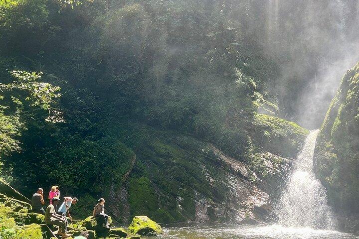 1 Tag Nyungwe Canopy Walk & Wasserfall Abenteuer