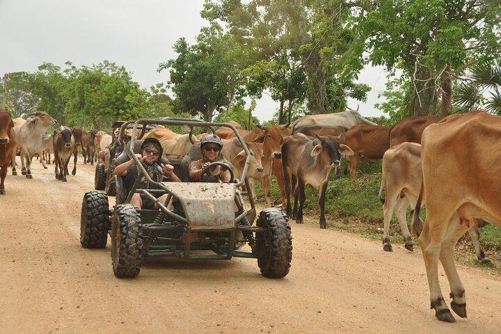 Ekstrem Bayahibe Buggy eventyr