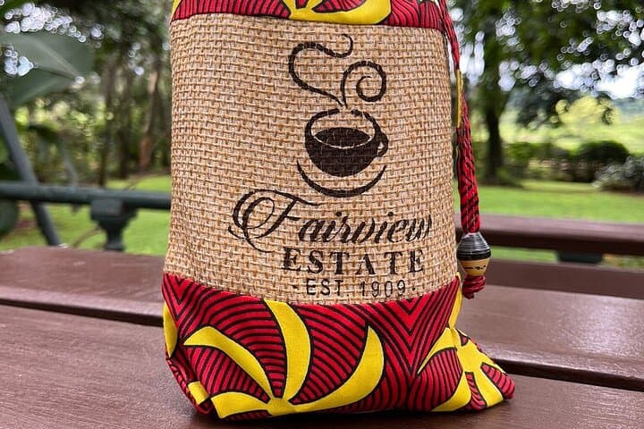 Fairview Coffee Farm Day Tour