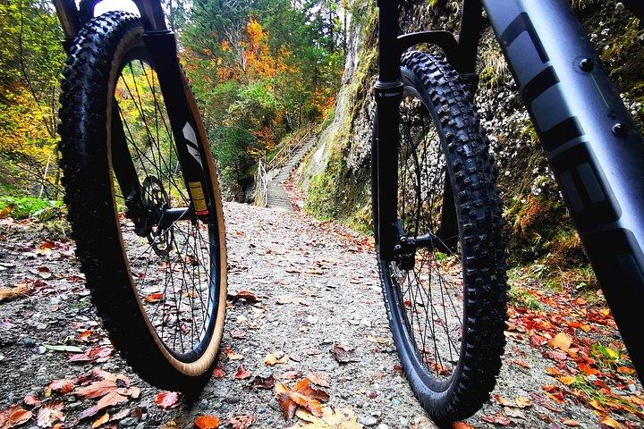 ルツェルンの隠れた名所を探索するサンセットシティサイクリングツアー
