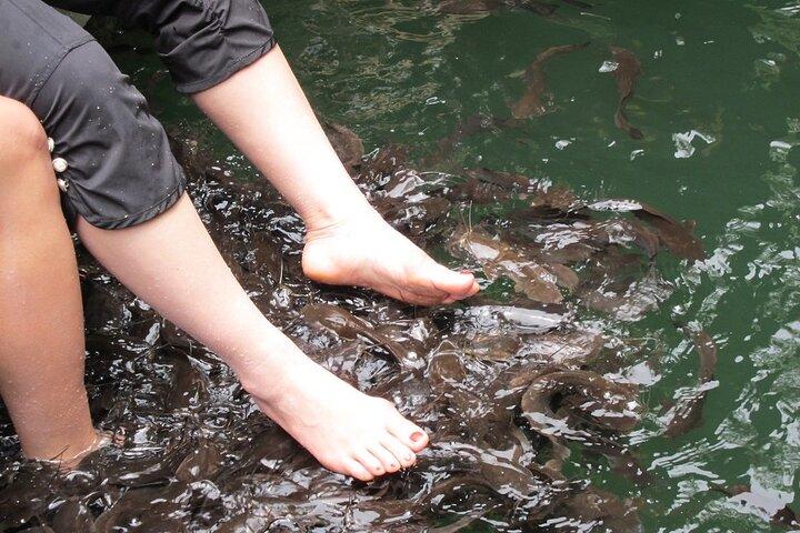 Excursão de Langkawi Island: Lake, Eagles & Beach Fun