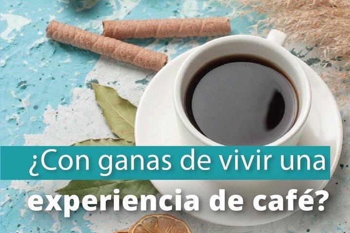 Private Guided Walking Tour and Coffee Workshop in Bogota