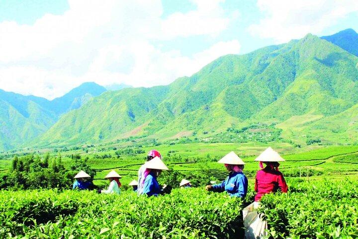 2-tägige Motorradtour nach Mu Cang Chai Loop ab Sapa