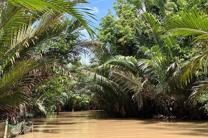 Øvre Mekong Delta Day Group Tour fra Ho Chi Minh City