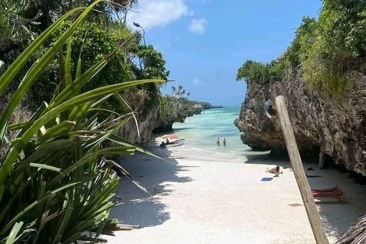 Jozani, Salaam Cave and Mtende Beach