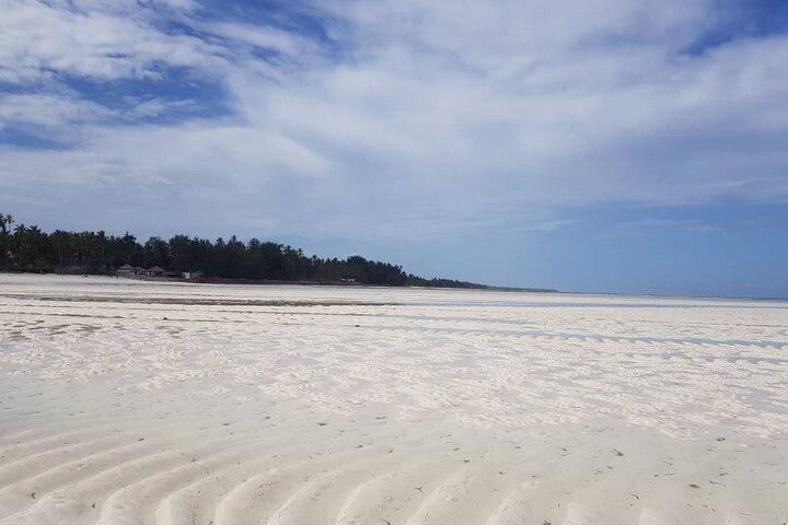 Udforskningstur til Zanzibar Archipelago Beach