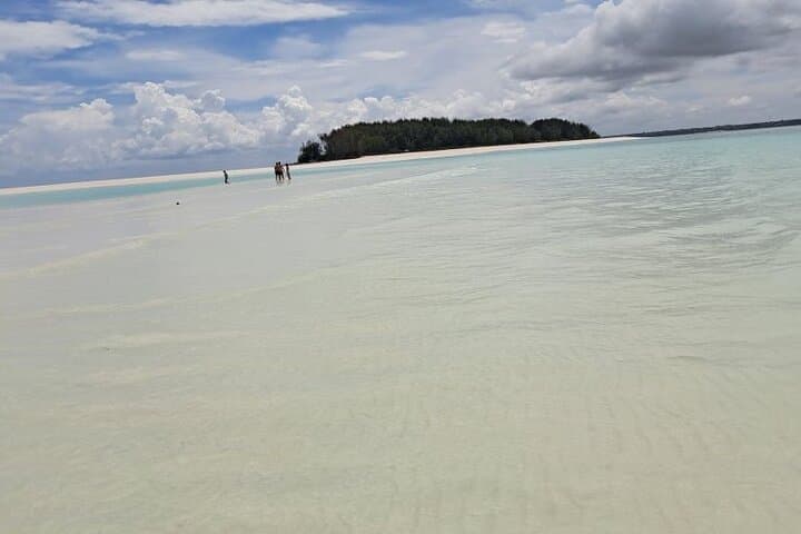 Mnemba Island Snorkeling and Swimming with Dolphin Full Day Trip