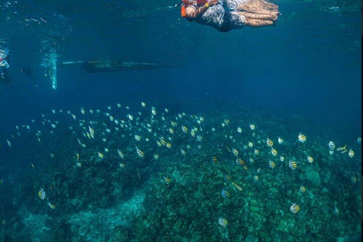 West Bay Beach Eco-Park und Schnorchelabenteuer