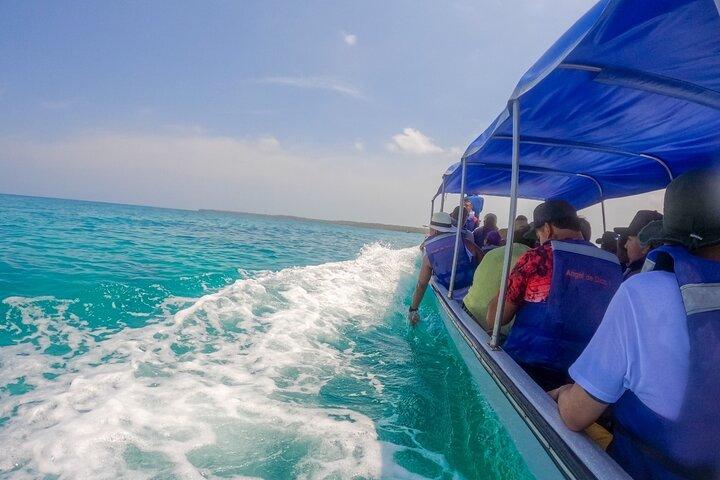 Visita Guiada a la Isla de Barú y Manglares