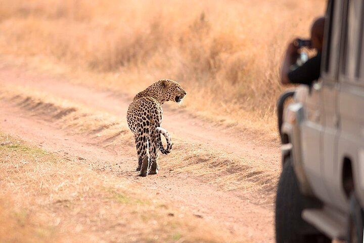 11 dage af Safari og Sun Tanzanias Nationalparker og Zanzibar