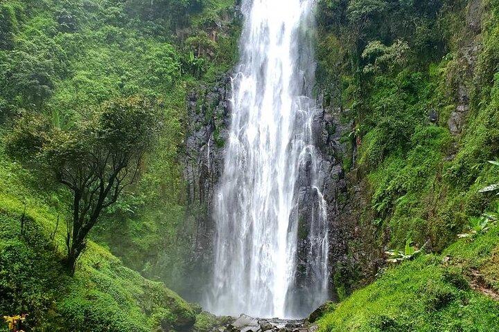 1 Dia Materuni Waterfalls, Tour de Café e Chemka Hot Spring