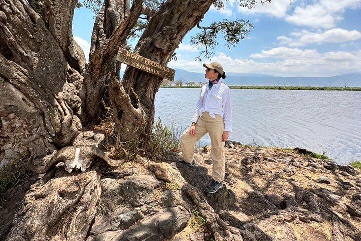 ンゴロンゴロ火口の中心部を巡るプライベート日帰り旅行