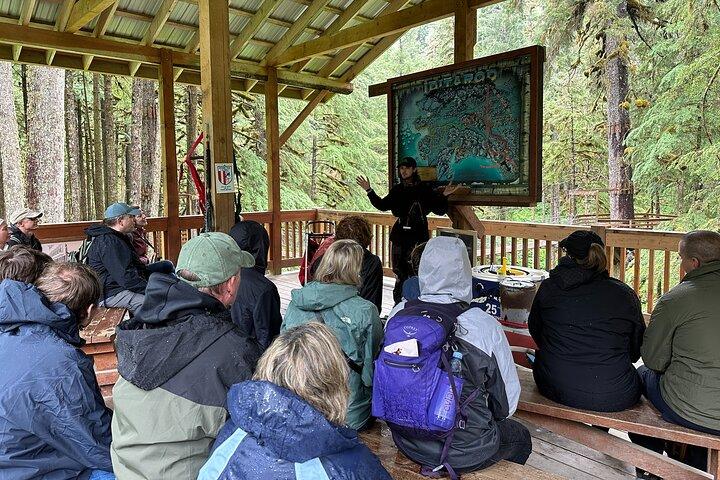 Musher's Camp® & Sled Dog Discovery à Juneau Alaska