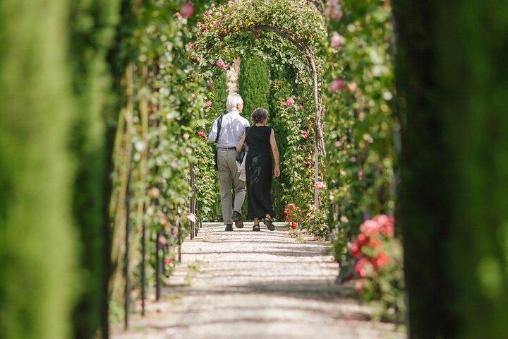 Excursión privada a Granada y la Alhambra desde Málaga