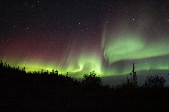 Tour di caccia all'aurora di Yellowknife in autobus