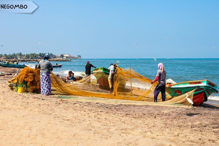 Excursión privada de varios días a Sri Lanka