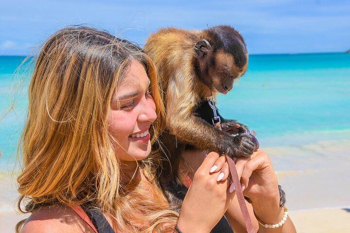 Punta Cana Tour i Atv + Horseback Riding Pick up Hotel