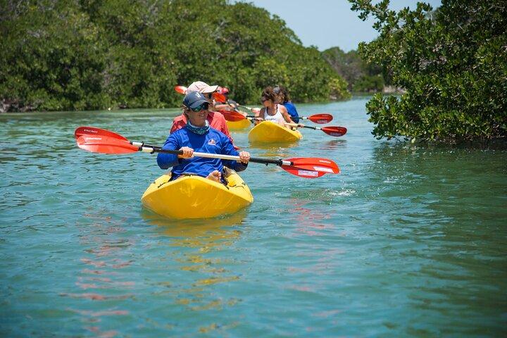 Key West Schooner Backcountry Eco Tour Vela Snorkeling e Kayak