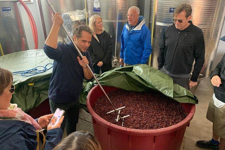 Tour Privato Wine Tasting, Taormina e Messina partendo da Messina