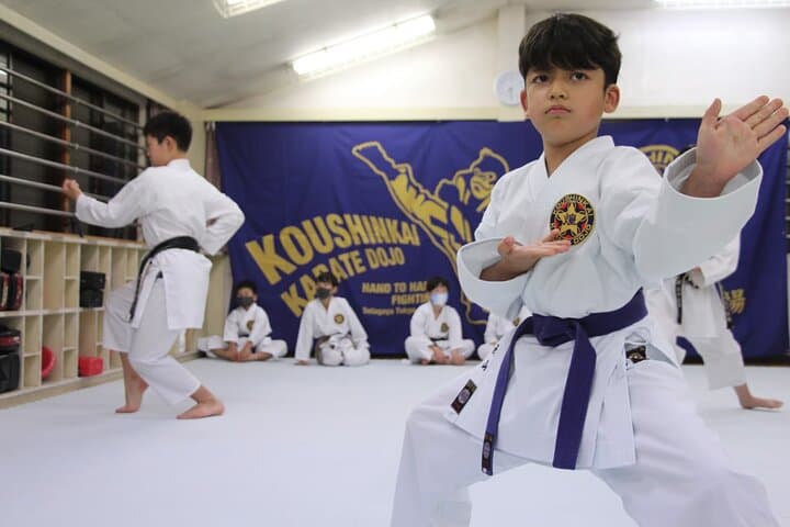 Tokyo Karate Experience (Family Friendly) with Karate Champion