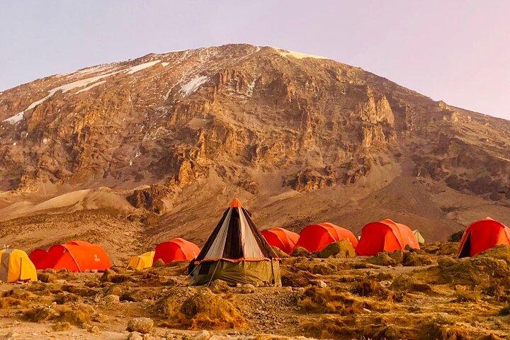 6 dagar Kilieconomy Safari Marangu Route