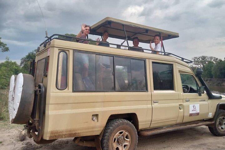 Ngorongoro kraterdag | Heldags Game Drive