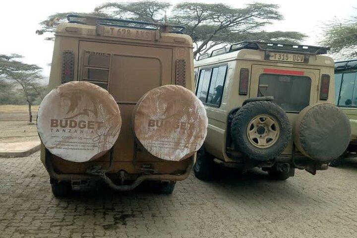 Ngorongoro kraterdag | Heldags Game Drive