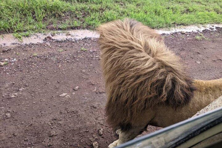2 Day Safari – Tarangire NP & Ngorongoro Crater