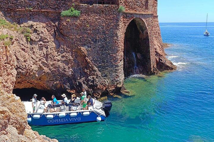 Excursion en catamaran sur l'île Berlengas + visite des grottes
