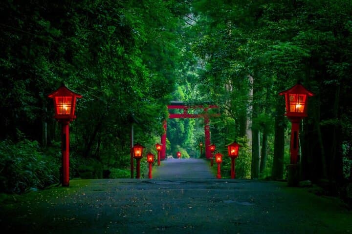 Mt Fuji or Hakone Private Day Tour