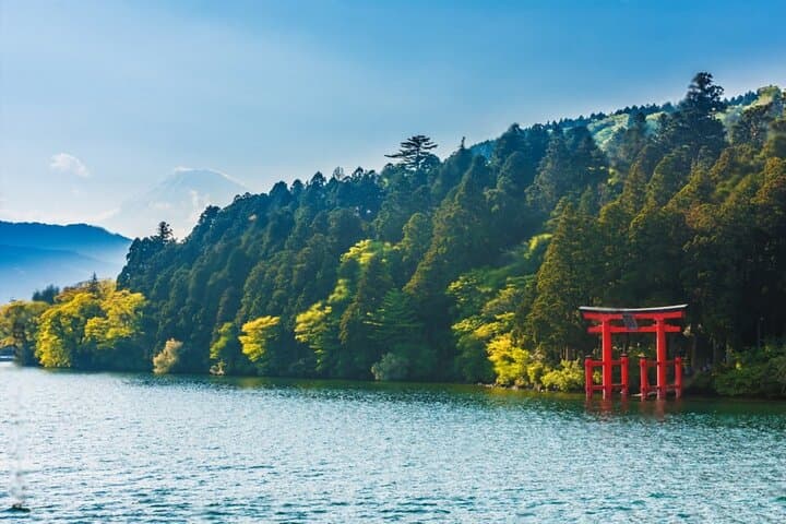 Mt Fuji or Hakone Private Day Tour