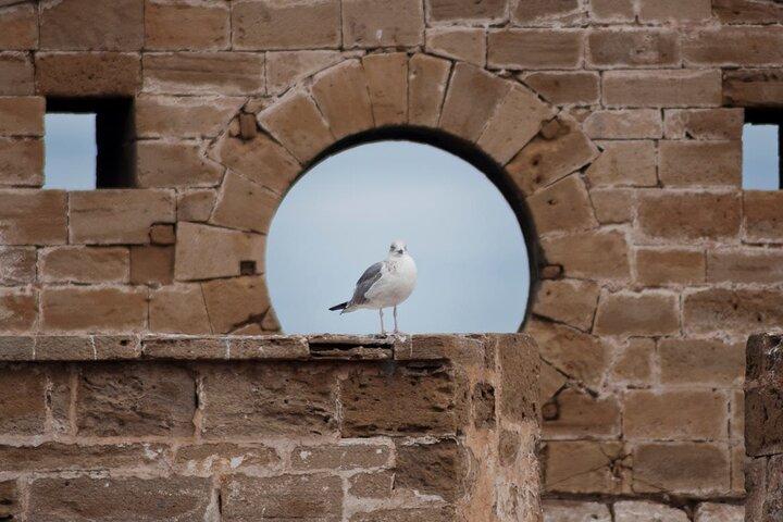 One Day Trip from Marrakech to Essaouira Coastal Exploration