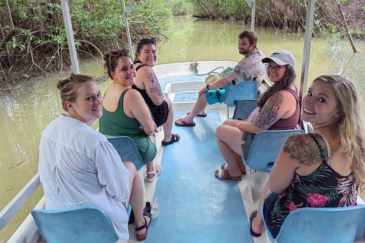 Manuel Antonio: Mangrovebådtur for at se dyr